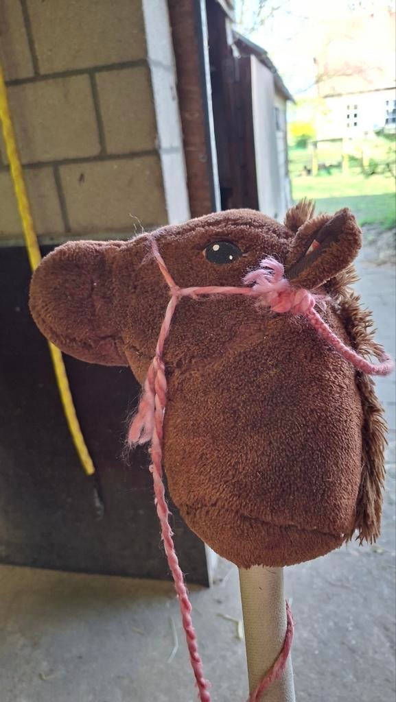 2 leuke stokpaarden te koop, Ophalen, Jongen of Meisje