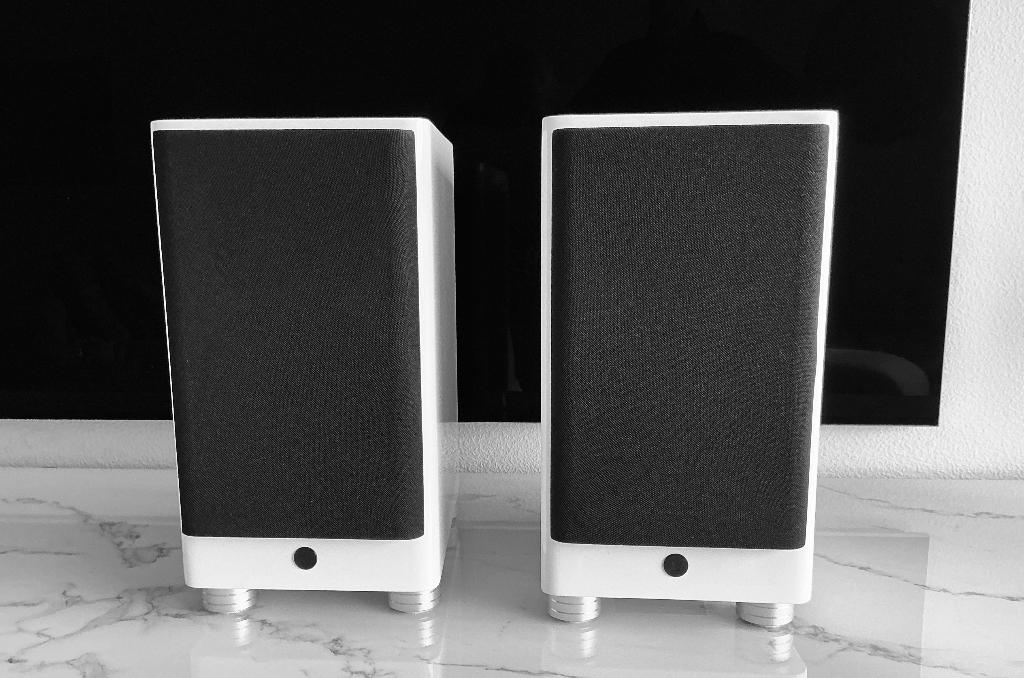 Dynaudio focus 10, Audio, Tv en Foto, Luidsprekers, Zo goed als nieuw, 120 watt of meer, Front, Rear of Stereo speakers, Ophalen