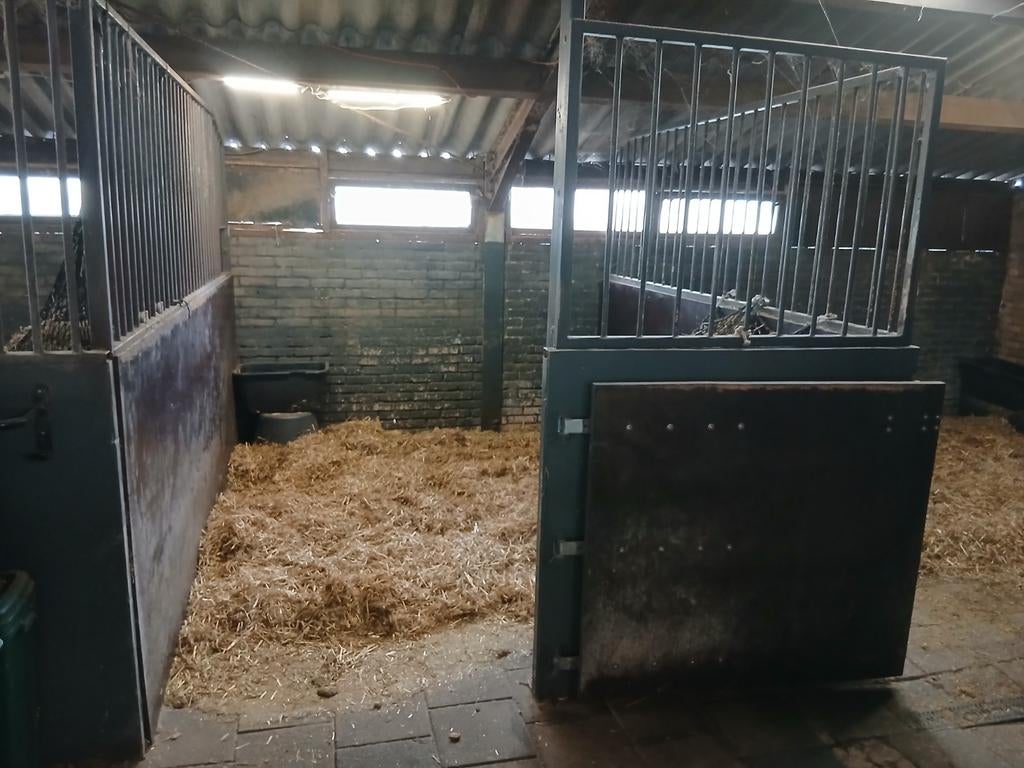 Plek vrij op kleinschalig paardenrusthuis in Friesland., Weidegang