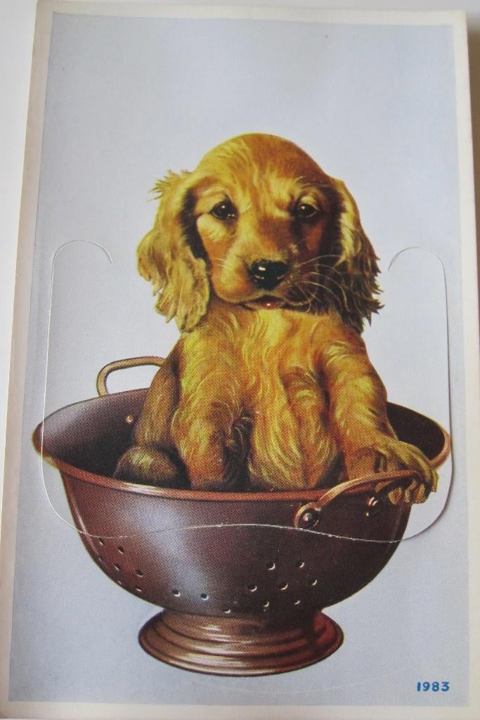 Klepjes kaart met spaniël pup in vergiet - 1983 - nieuw, Verzenden, 1980 tot heden, Ongelopen, Hond of Kat