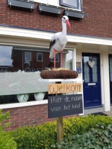 Ooievaarsnest met ei en ooievaar te huur!, Ophalen