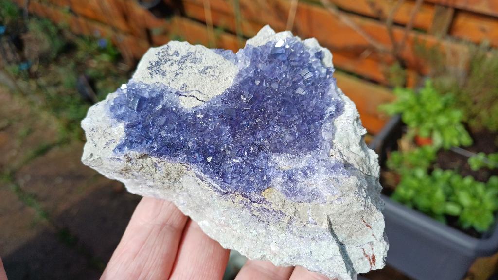 mrt01 Fluoriet La Viesca mijn, La Collada, Asturië Spanje, Ophalen of Verzenden, Mineraal