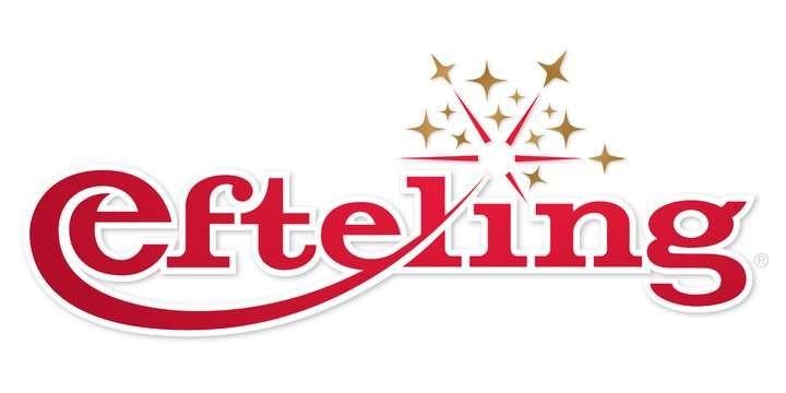 Efteling ticket 2026, Tickets en Kaartjes, Eén persoon, Ticket of Toegangskaart