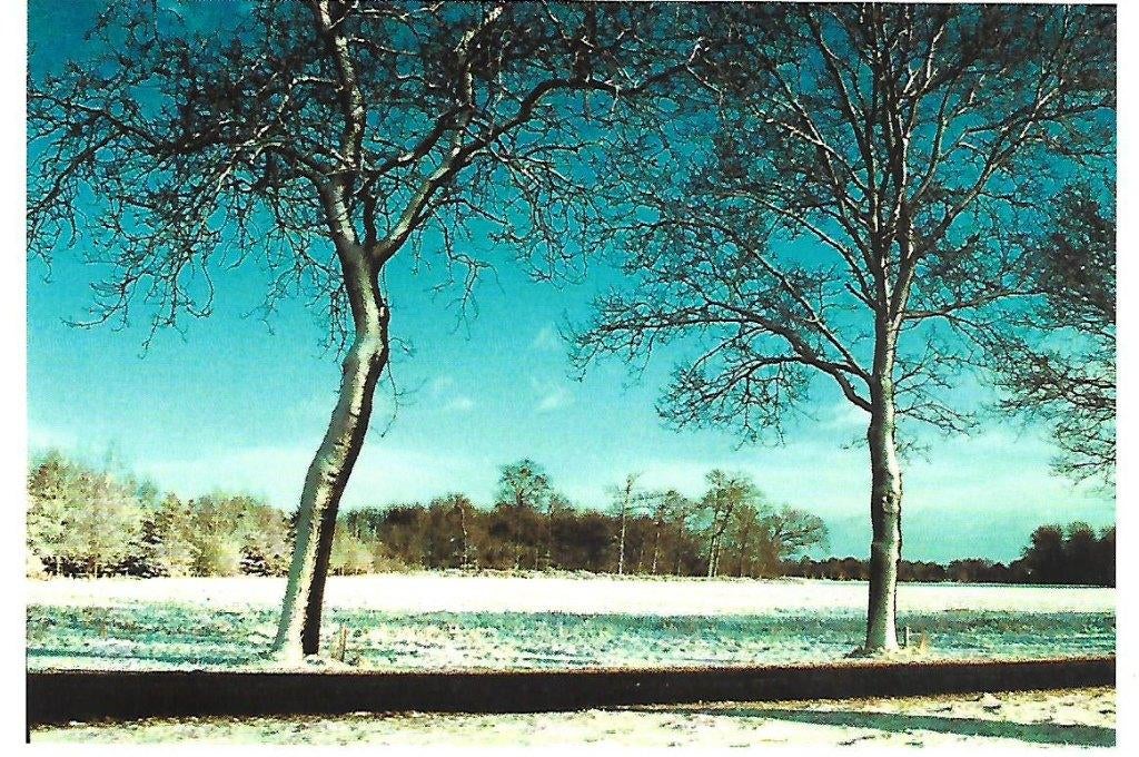 Prov. Groningen- -Winterlandschap., Verzamelen, Verzenden, 1980 tot heden, Ongelopen, Groningen