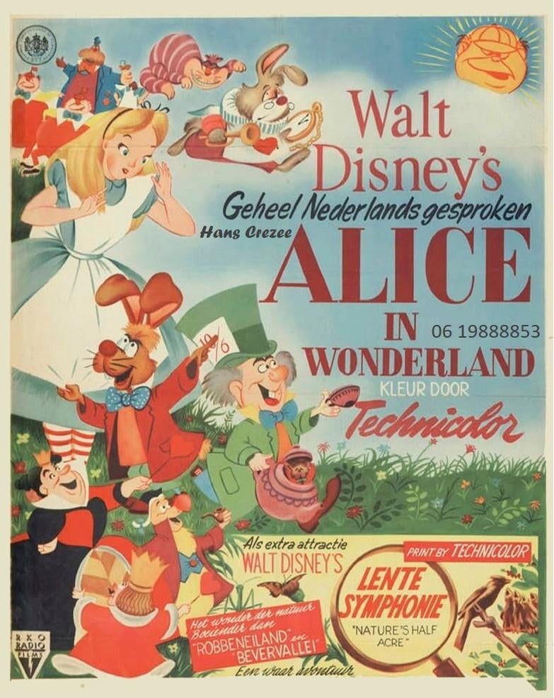 zoek rko poster affiche disney lied van het zuiden 1950, Ophalen of Verzenden, A1 t/m A3, Film en Tv, Rechthoekig Staand