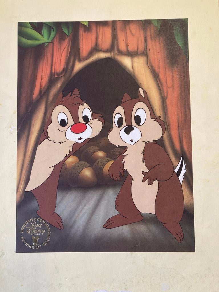 Disney Knabbel en Babbel lithografie 1995, Verzamelen, Ophalen of Verzenden, Overige figuren, Gebruikt, Plaatje of Poster