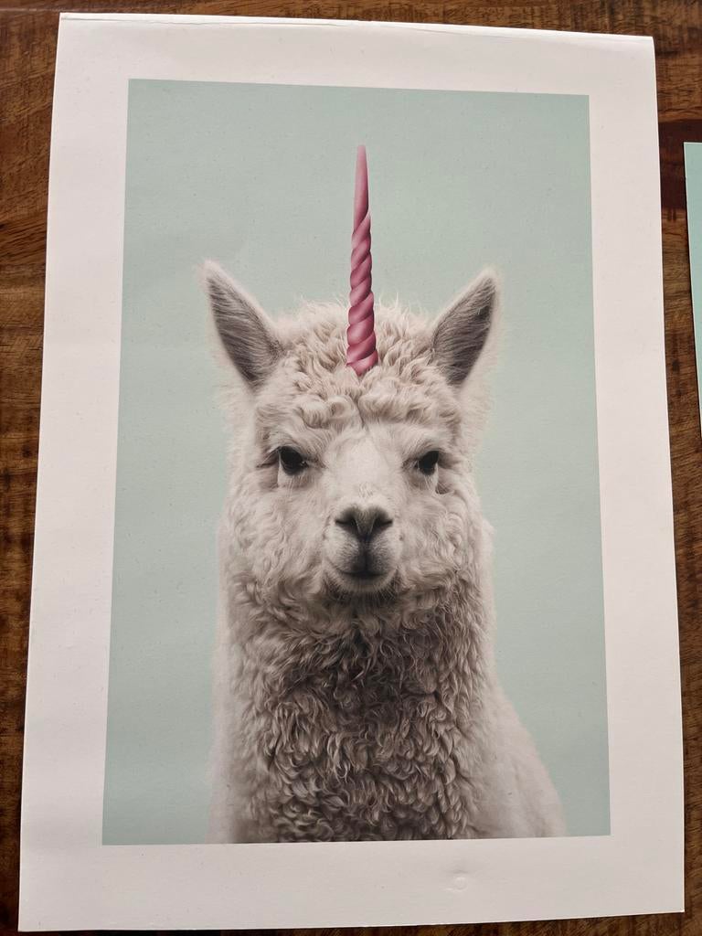 Leuke posters voor kinder-/slaapkamer (4 stuks), Rechthoekig Staand, A4 of kleiner, Ophalen of Verzenden, Zo goed als nieuw