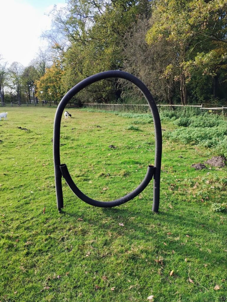 Horse agility hoepel voor mini/shetlanders, Dieren en Toebehoren, Ophalen of Verzenden, Overige soorten