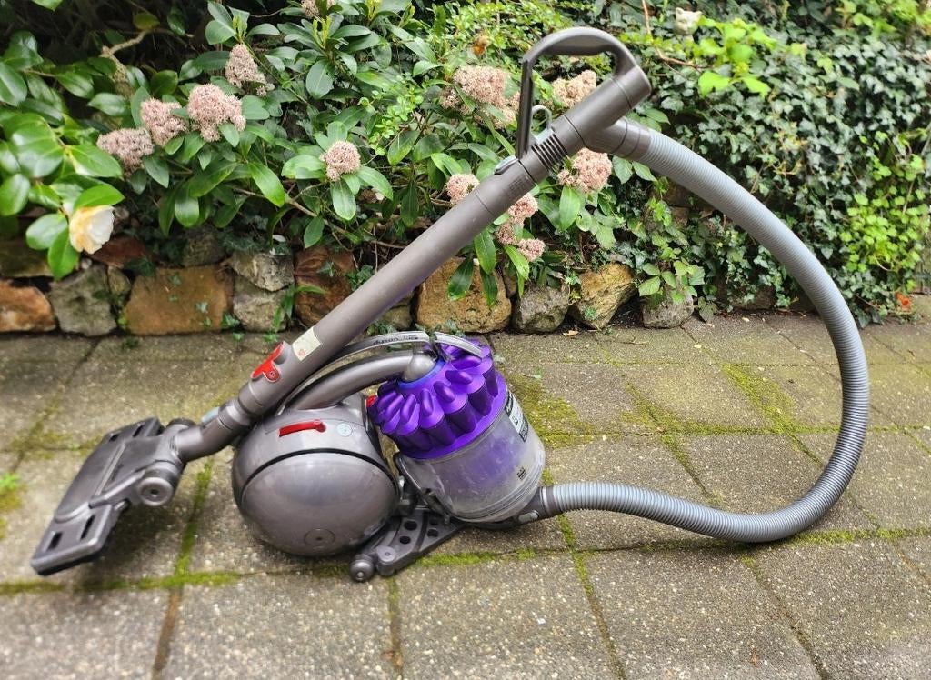 Dyson DC 37 Stofzuiger, Ophalen of Verzenden