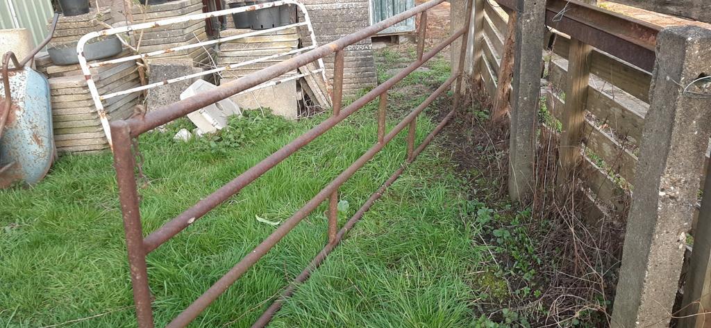 Landbouwhek weidehek veehek poort hek, Ophalen of Verzenden, IJzer, Spijlenhekwerk