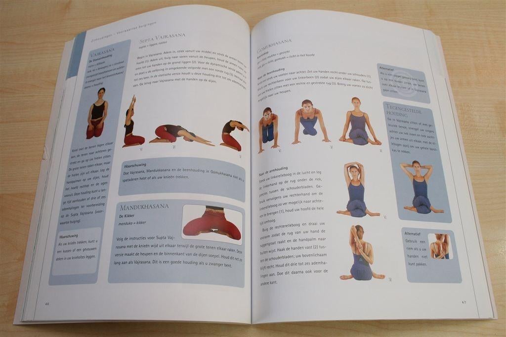 Yoga — Hatha Yoga Oefeningen & Sessies voor Thuis, Ophalen of Verzenden, Gelezen, Overige onderwerpen, Achtergrond en Informatie