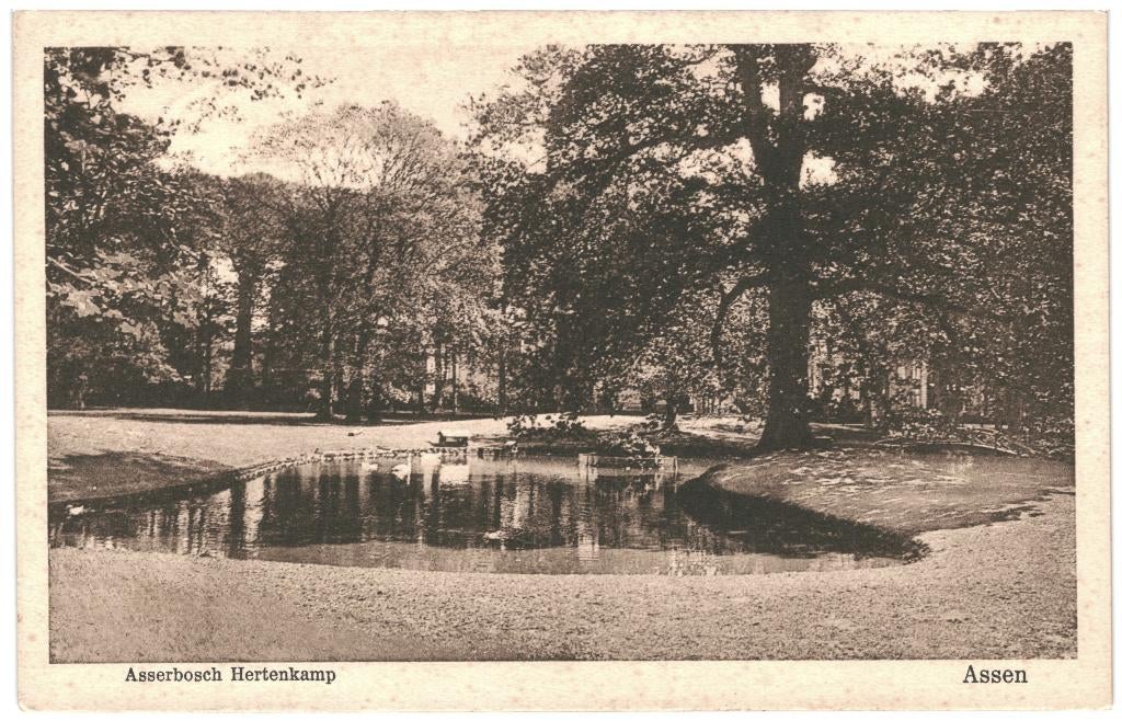 991353 Assen Drenthe 1929 Gelopen met postzegel, Ophalen of Verzenden, 1920 tot 1940, Gelopen, Drenthe