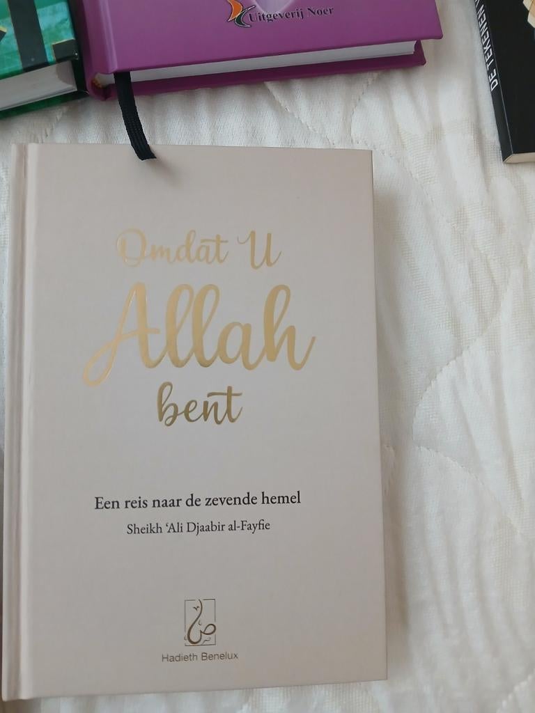 Boeken, Ophalen of Verzenden, Zo goed als nieuw