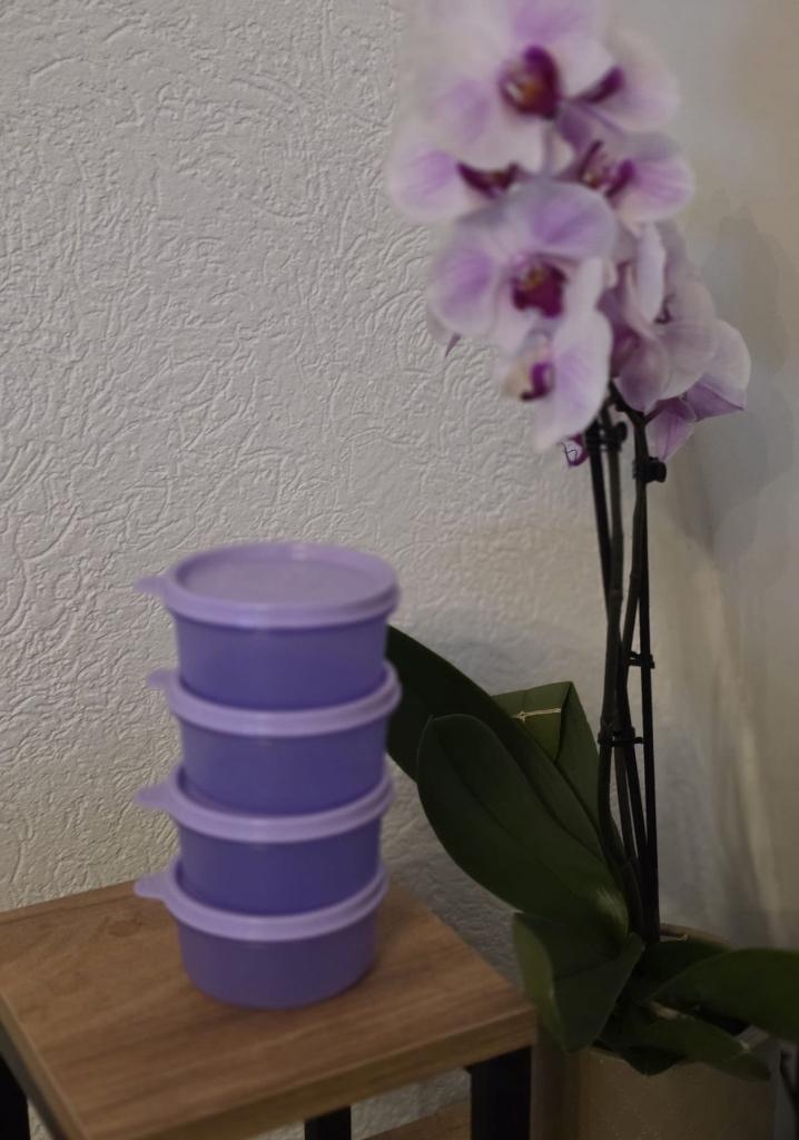 Tupperware, Ophalen of Verzenden, Nieuw, Bak of Kom