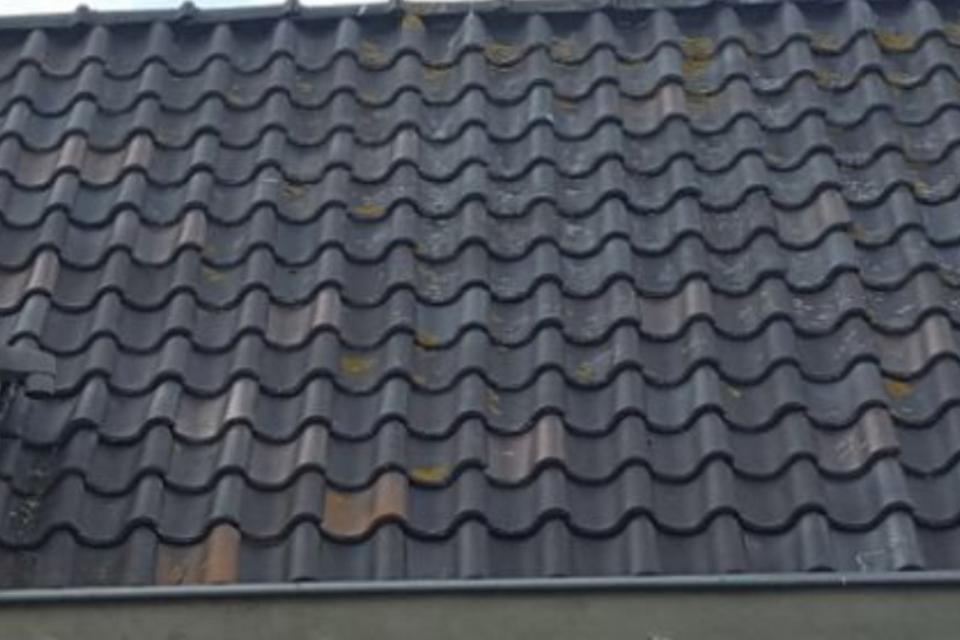 4000 stuks WD&S dakpannen bruin geëngobeerd., Overige materialen, Gebruikt, Overige typen, Info@walstra.nl