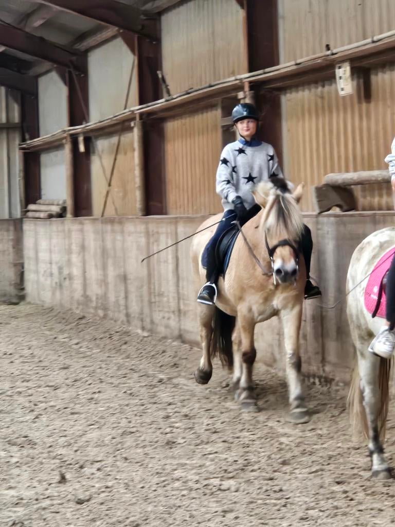 Bijrijder/verzorger aangeboden, Ophalen of Verzenden