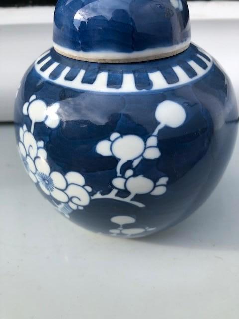 Gemberpot prunus, Ophalen of Verzenden