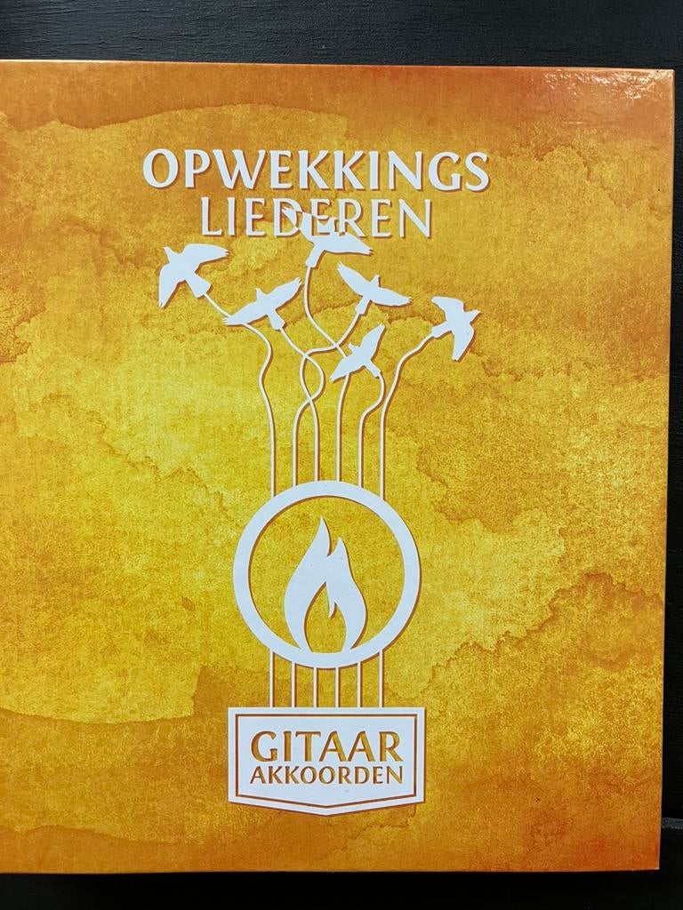 Gitaar akkoorden gitaarakkoorden Opwekkingsliederen, Muziek en Instrumenten, Ophalen of Verzenden, Overige soorten, Religie en Gospel