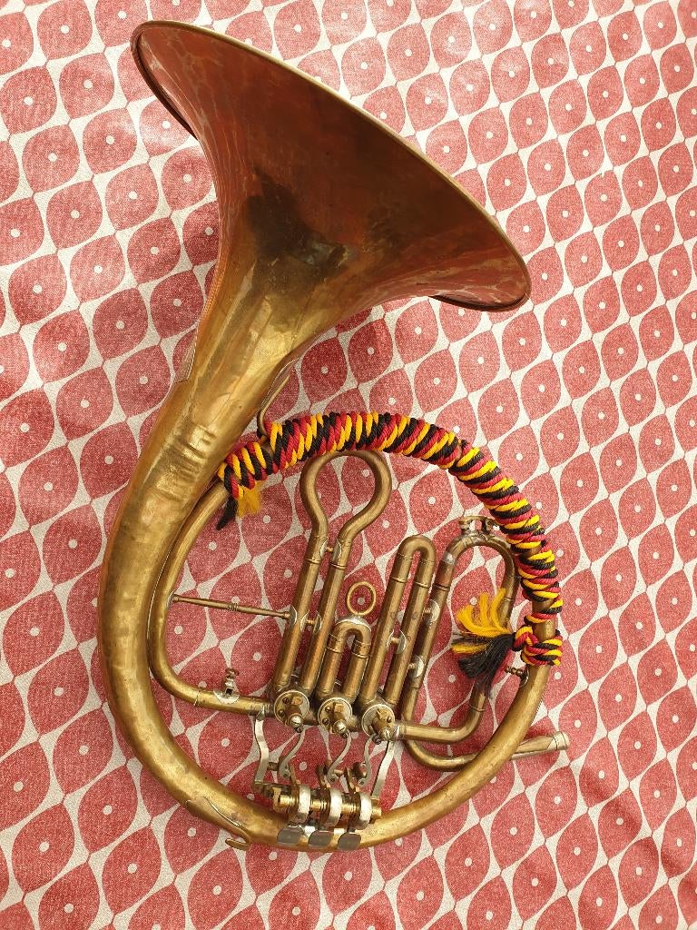 Hoorn, Muziek en Instrumenten, Blaasinstrumenten | Hoorns, Ophalen of Verzenden, Gebruikt, Althoorn of Eshoorn