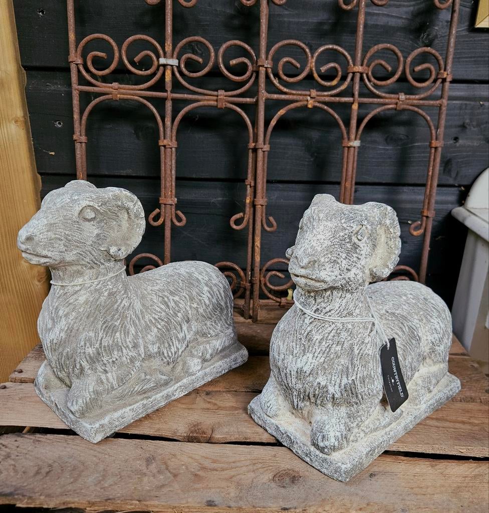 Stenen ram, Ophalen of Verzenden, Nieuw, Dier