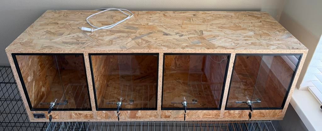 Terrarium, Ophalen, Zo goed als nieuw, Terrarium of Paludarium