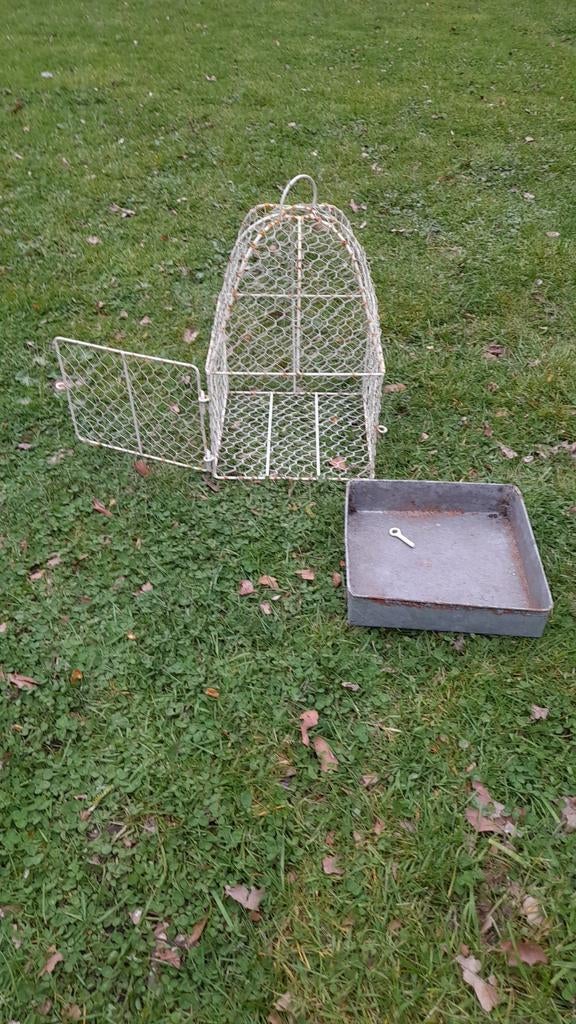 Brocante oude VOGELKOOI voor decoratie + gratis dennenappels, Dieren en Toebehoren, Vogels | Hokken en Kooien, Ophalen of Verzenden
