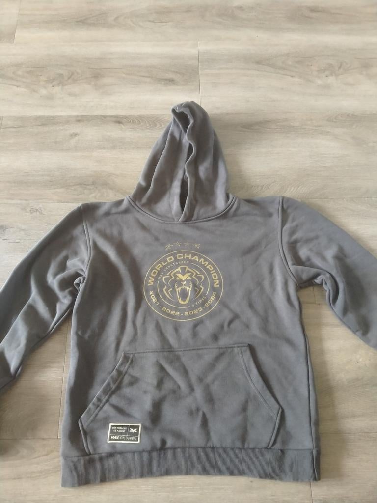 Max Verstappen hoodie, 4x wereldkampioen, Ophalen of Verzenden, Zo goed als nieuw, Formule 1