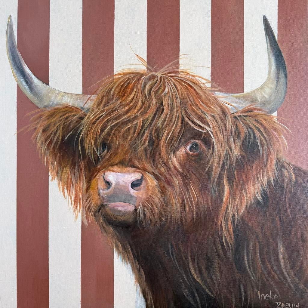 Schilderij schotse hooglander eigen werk, Nieuw, Ophalen of Verzenden, Schilderij, 50 tot 75 cm