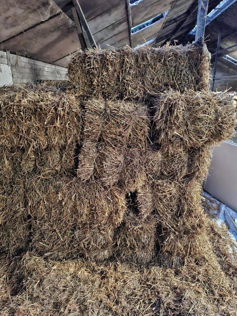 Strobalen te koop - Ideaal voor dieren of decoratie, Ophalen