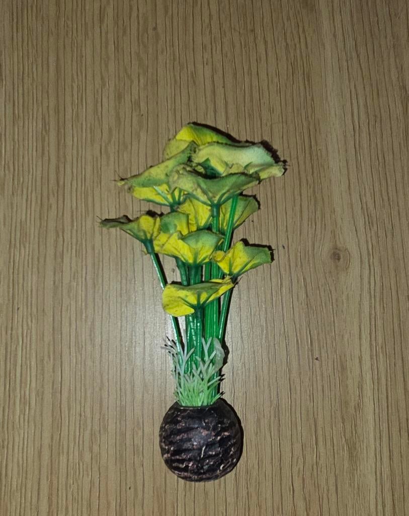 Klein geel aquarium plantje (nep), Dieren en Toebehoren, Ophalen