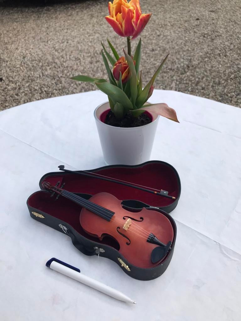Miniatuur viool in koffertje, Muziek en Instrumenten, Strijkinstrumenten | Violen en Altviolen, Ophalen, Viool, Zo goed als nieuw