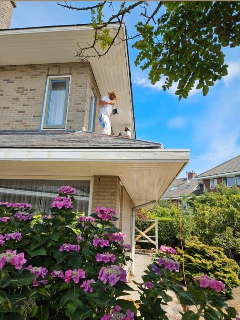 GOEDKOPE   Schilder Renovlies.Behangen. Binne & Buiten, Behangen