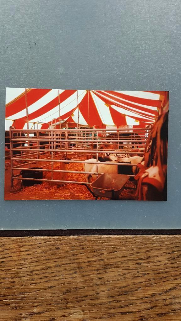 Circus/ foto`s van het Duitse circus Barelli / seizoen 1994., Ophalen of Verzenden, Zo goed als nieuw