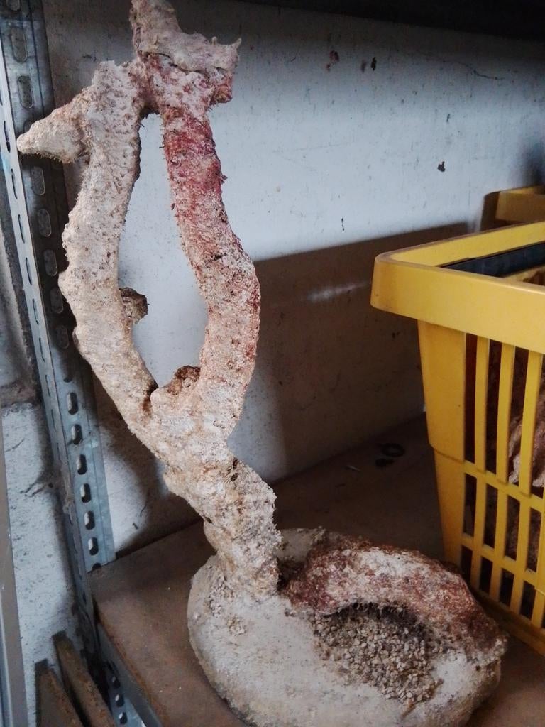 Reefbone zeeaquarium op plaatje, Dieren en Toebehoren, Vissen | Aquaria en Toebehoren, Ophalen, Gebruikt, Gevuld zeewateraquarium