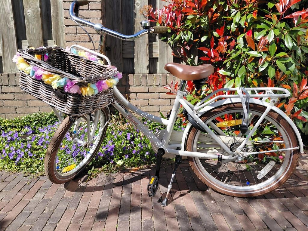 Alpine meisjesfiets 20 inch, Ophalen of Verzenden, Gebruikt, 20 inch, Alpine