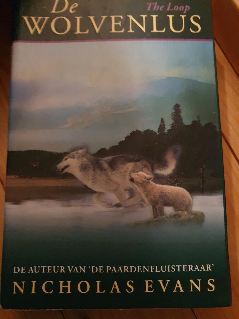 Spannende roman van Nicholas Evans, Boeken, Romans, Zo goed als nieuw, Ophalen of Verzenden