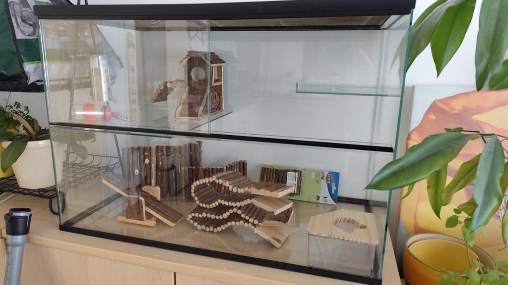 Mooi terrarium met accessoires, Gebruikt, Minder dan 75 cm, Muis, Hok