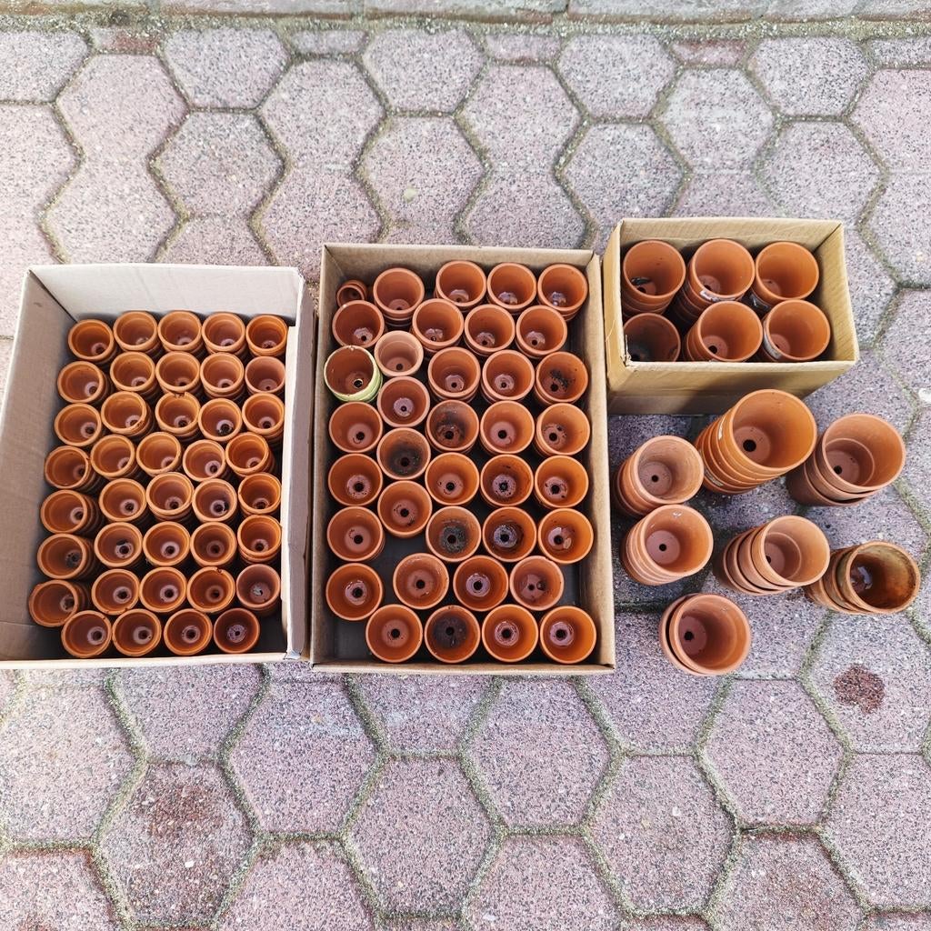 Kleine terracotta zaai/stek potjes. Ruim 350x. D3-5cm., Tuin en Terras, Ophalen, Rond, Minder dan 25 cm, Minder dan 40 cm