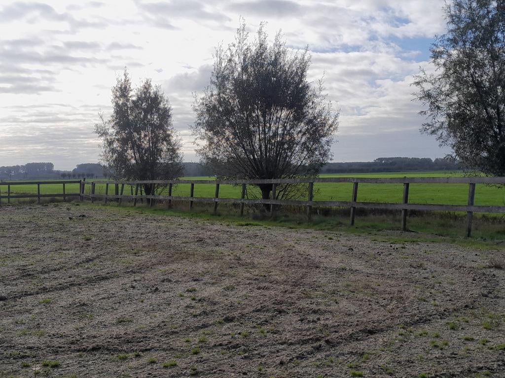 Paardenbak paddock hardhouten planken palen 20x40m, Tuin en Terras, Tuinhekken en Hekwerk, Gebruikt, Hout, Met poort, Ophalen