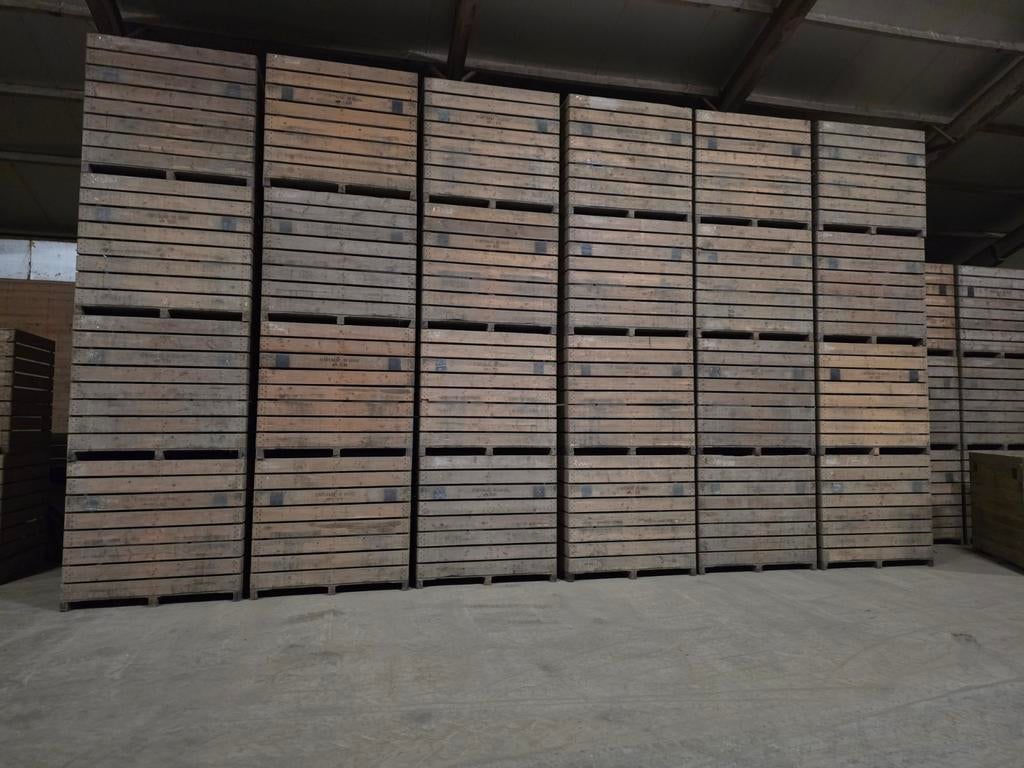 Te Koop 1000 grote Kuubskisten, Zakelijke goederen, Agrarisch | Aardappelen, Groenten, Fruit en Vlees, Ophalen