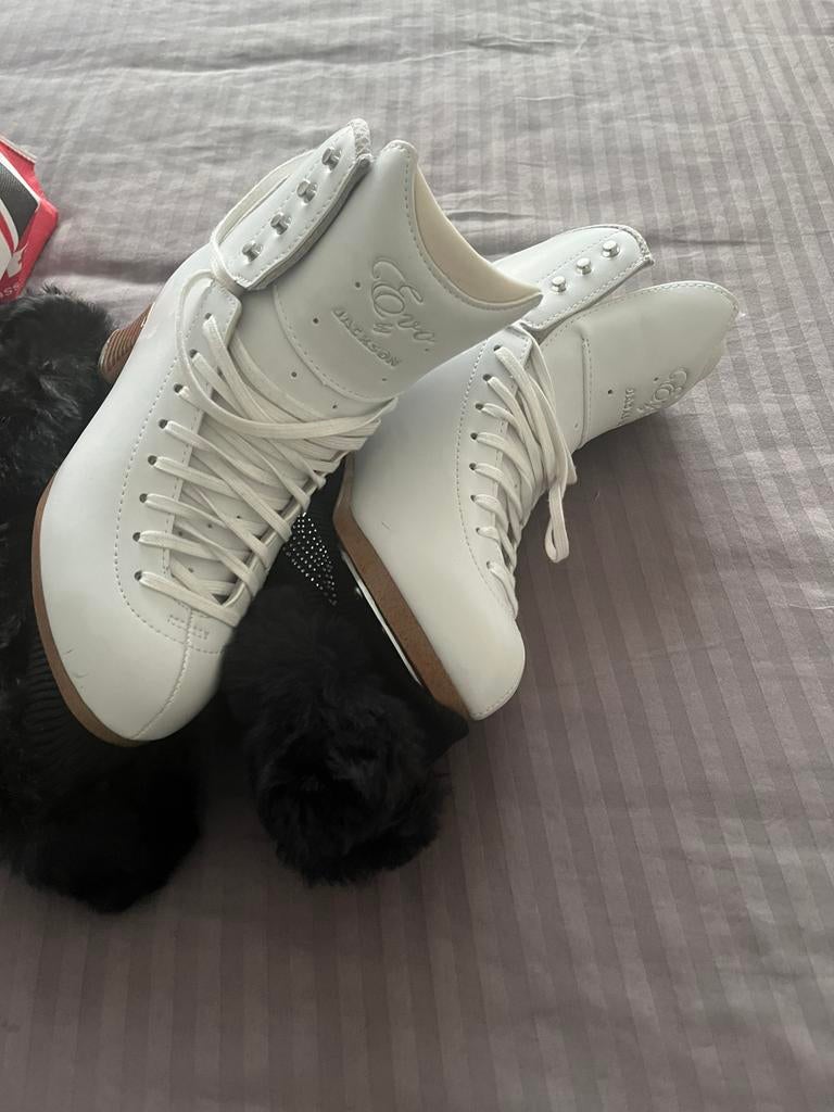 Jackson Evo’s, Sport en Fitness, Schaatsen, Verzenden, Zo goed als nieuw