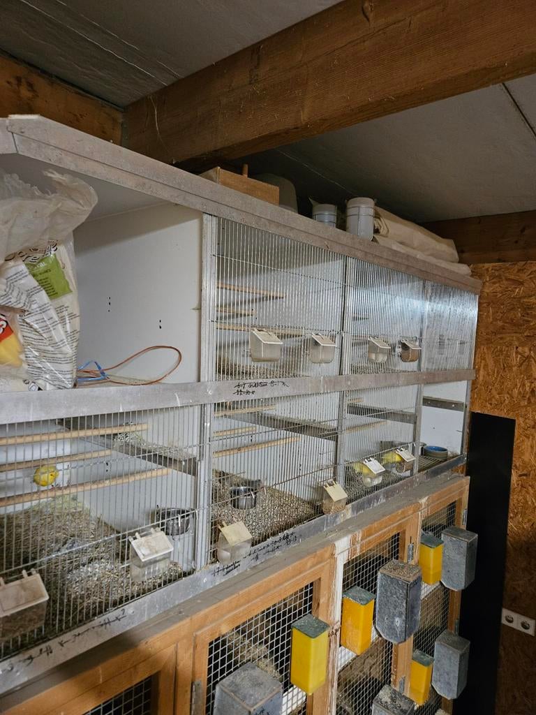 Te koop kweek kooien vogels, Ophalen of Verzenden, Broedkooi of Kweekkooi