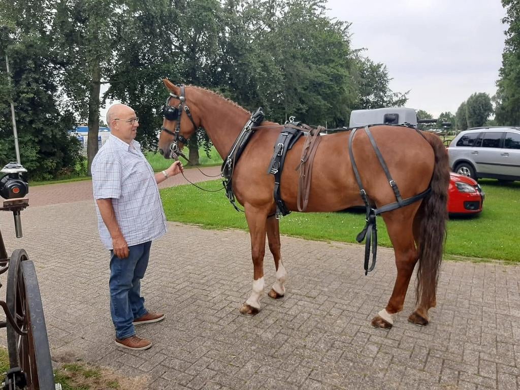 Ideal enkelspan gareeltuig  zgan, Dieren en Toebehoren, Ophalen, Zo goed als nieuw, Overige soorten
