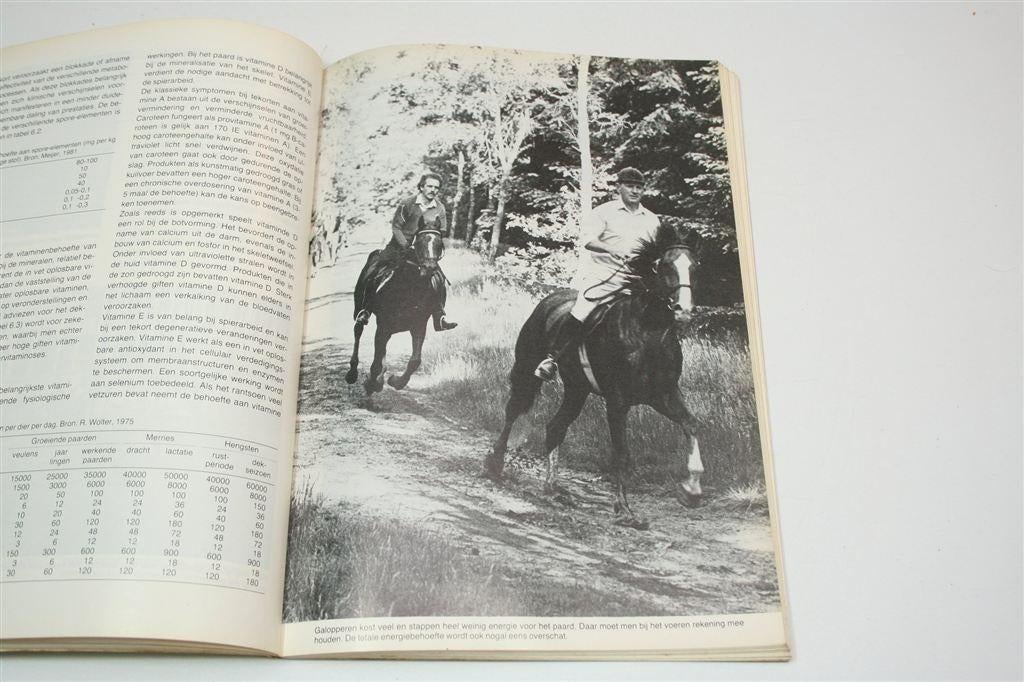Paardenhouderij Praktisch — Verzorging Training Fokkerij, Ophalen of Verzenden, Gelezen, Honden