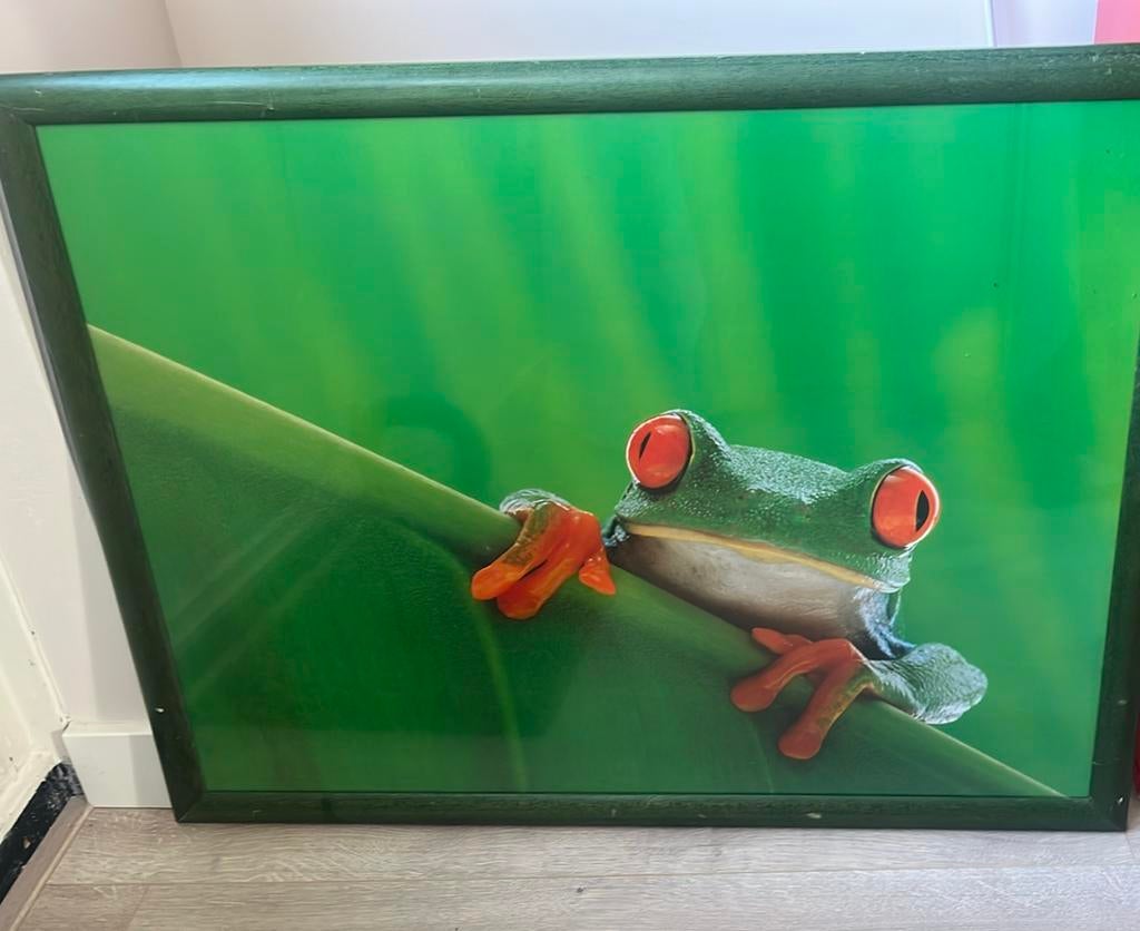 Groene kikker in lijst, Antiek en Kunst, Ophalen