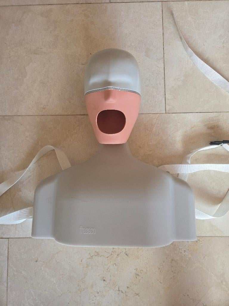 Frasaco fantoomhoofd inclusief boven en onderkaak., Ophalen of Verzenden, Zo goed als nieuw