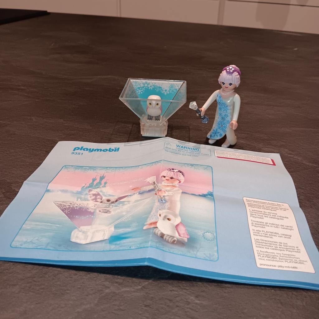 Playmobil 9351 IJsprinses met uil, Kinderen en Baby's, Speelgoed | Playmobil, Ophalen of Verzenden, Gebruikt, Los playmobil