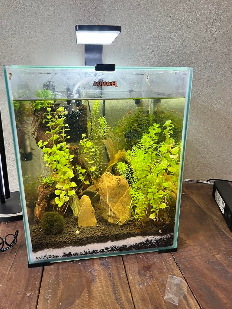 Te Koop. Aquael garnalenset met toebehoren., Ophalen of Verzenden, Zo goed als nieuw