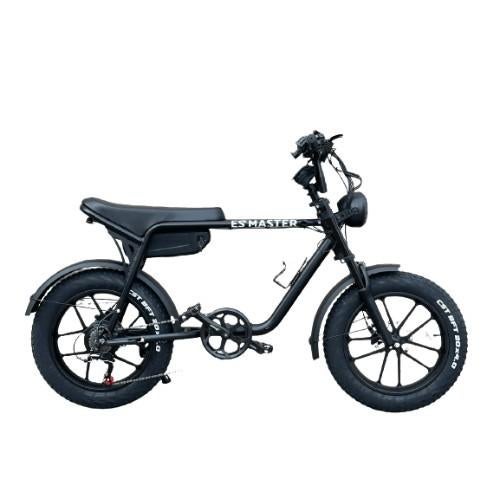 Ebike / Fatbike Repair esmaster ouxi knaab windgoo, Ophalen of Verzenden, Nieuw