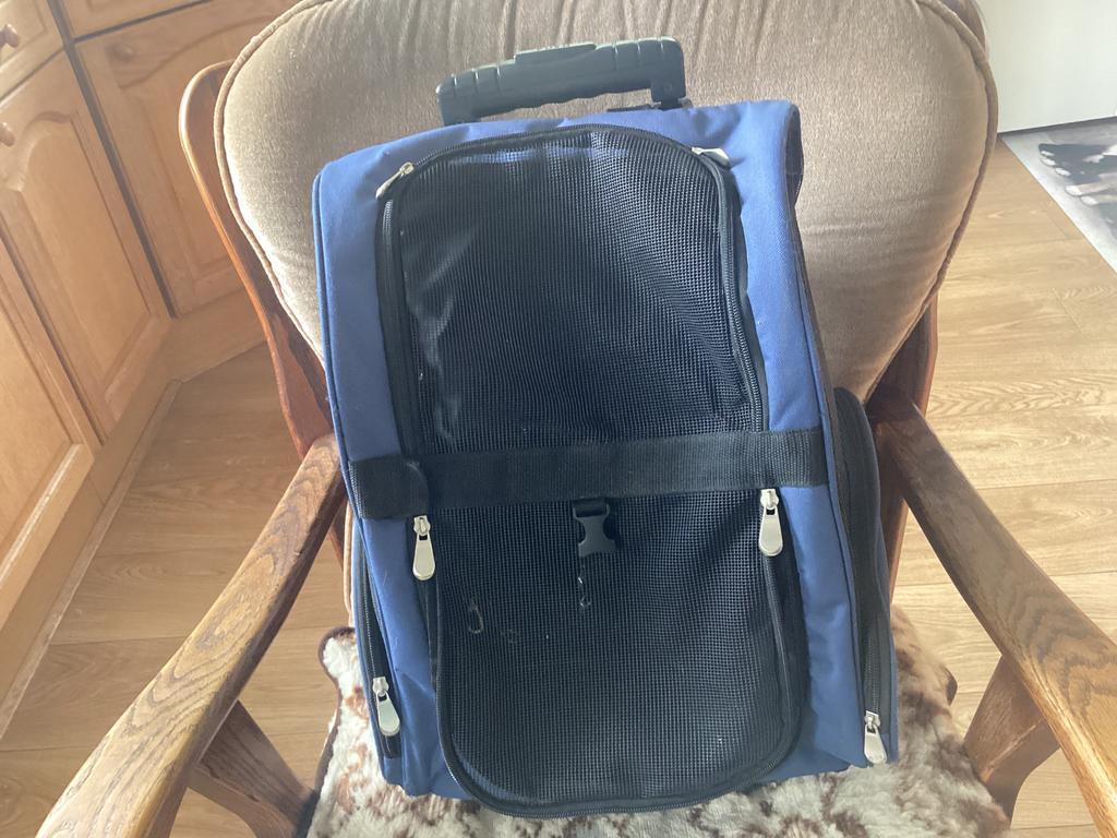 Handige rugzak voor de hond, Ophalen of Verzenden, Gebruikt